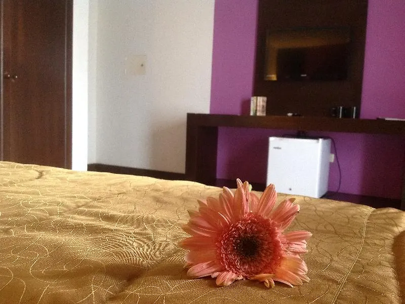 Hotel Boutique Vista Del Mar Cozumel México